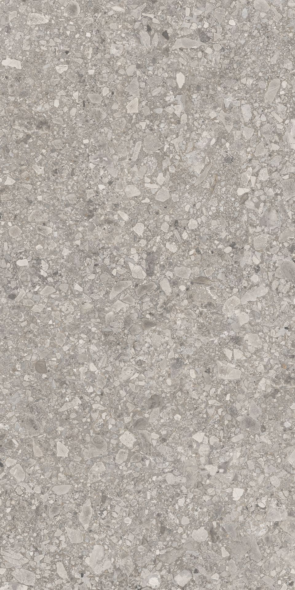 1200*600 Tegza Grey Matt (2,1.44)