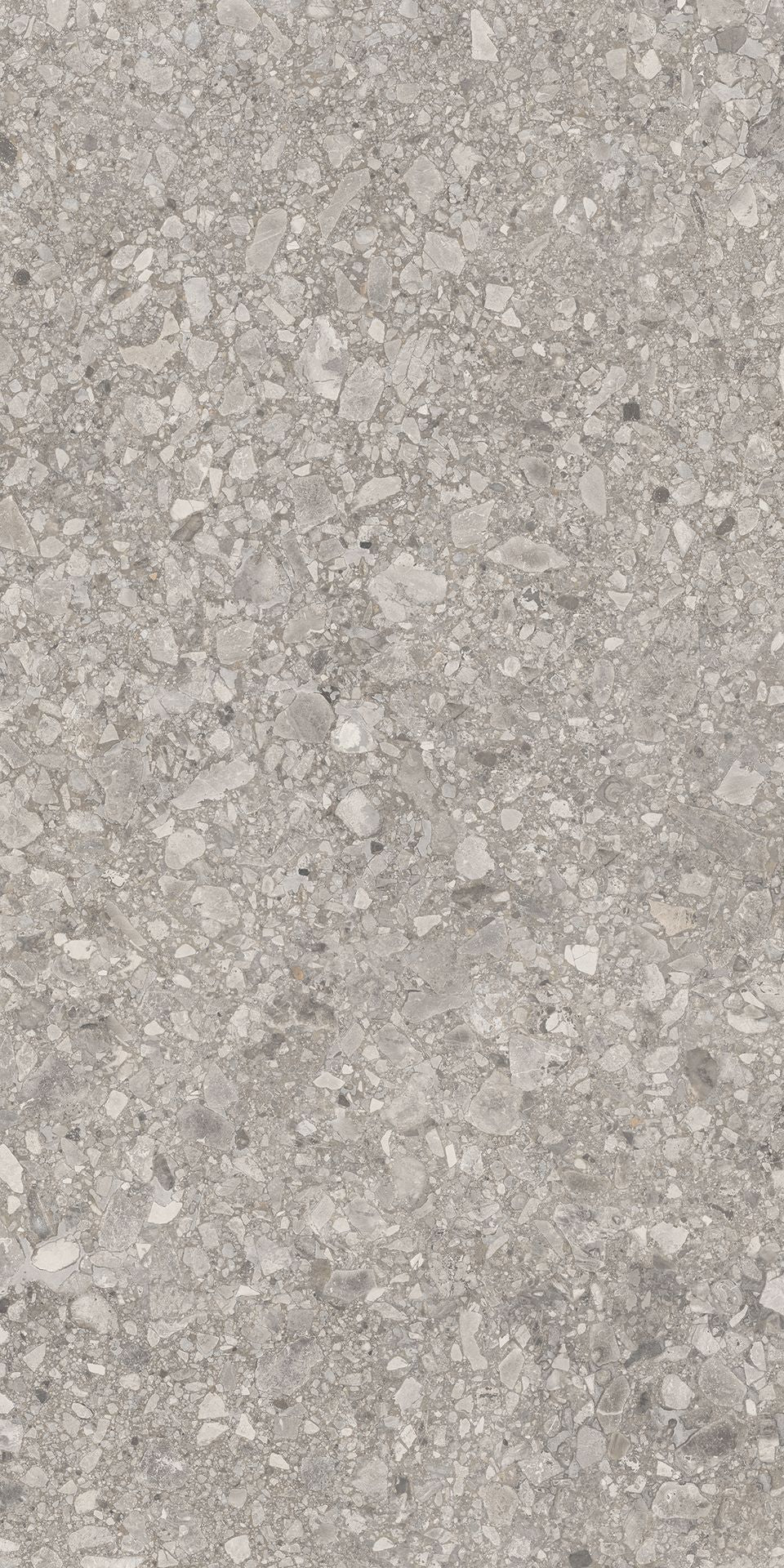 1200*600 Tegza Grey Matt (2,1.44)