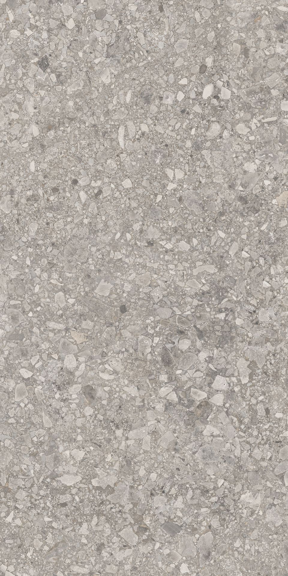 1200*600 Tegza Grey Matt (2,1.44)