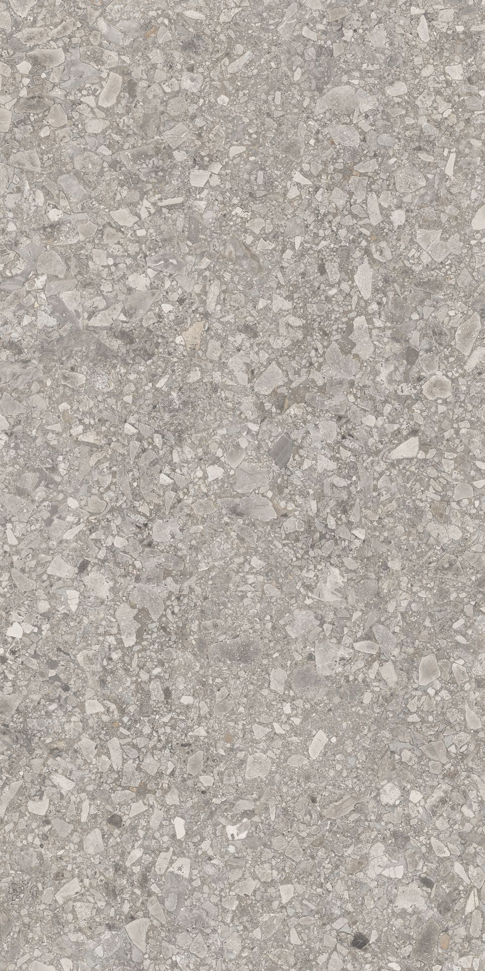 1200*600 Tegza Grey Matt (2,1.44)