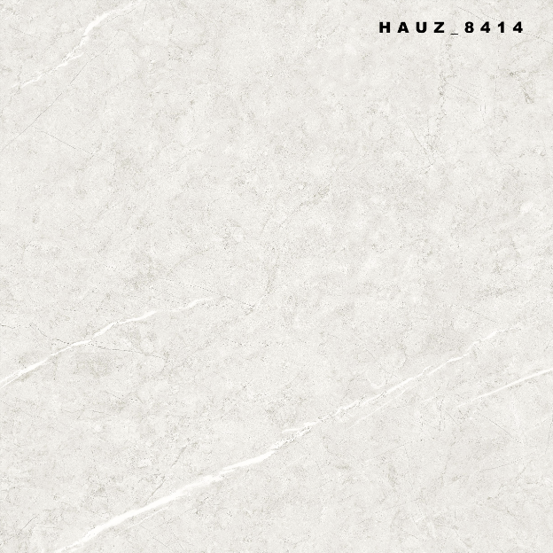 Tile Hauz-8414 60x60