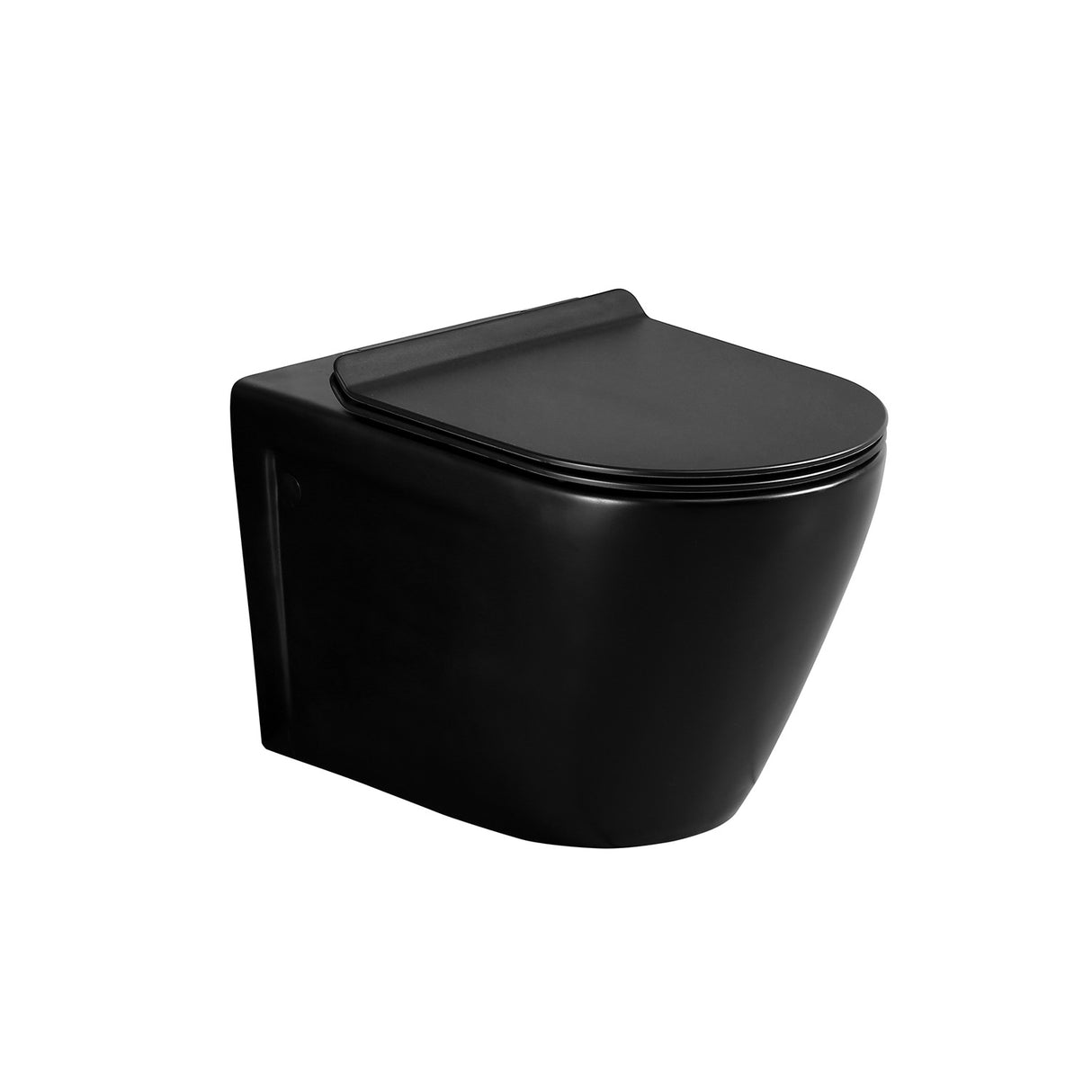 Matte Black Wall Hung Toilet