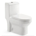 Single Piece Toilet