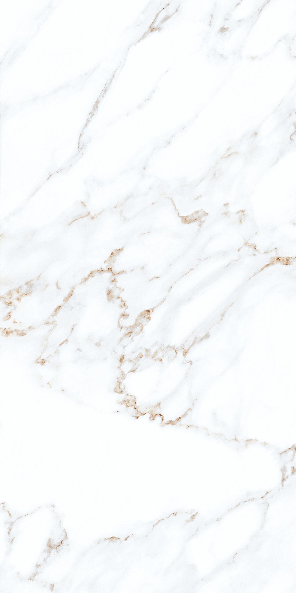 1200*600 - Pro Calcutta (Glossy)(2,1.44)