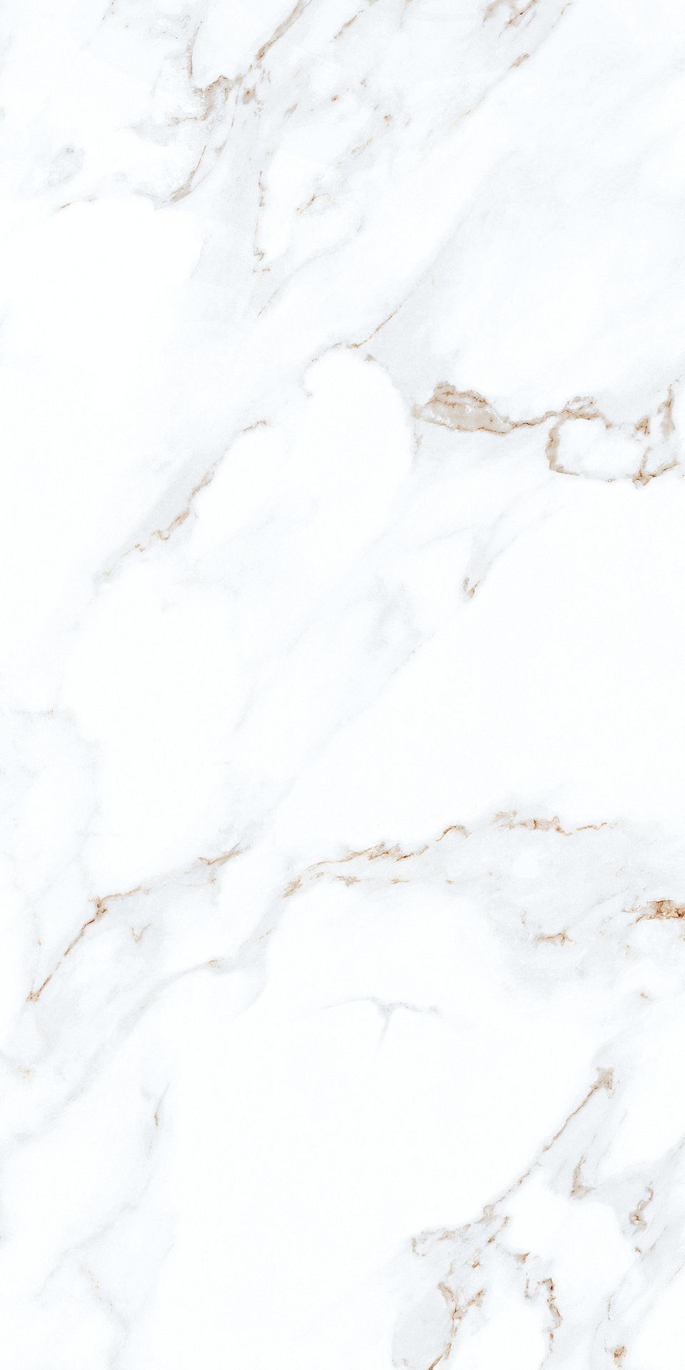 1200*600 - Pro Calcutta (Glossy)(2,1.44)