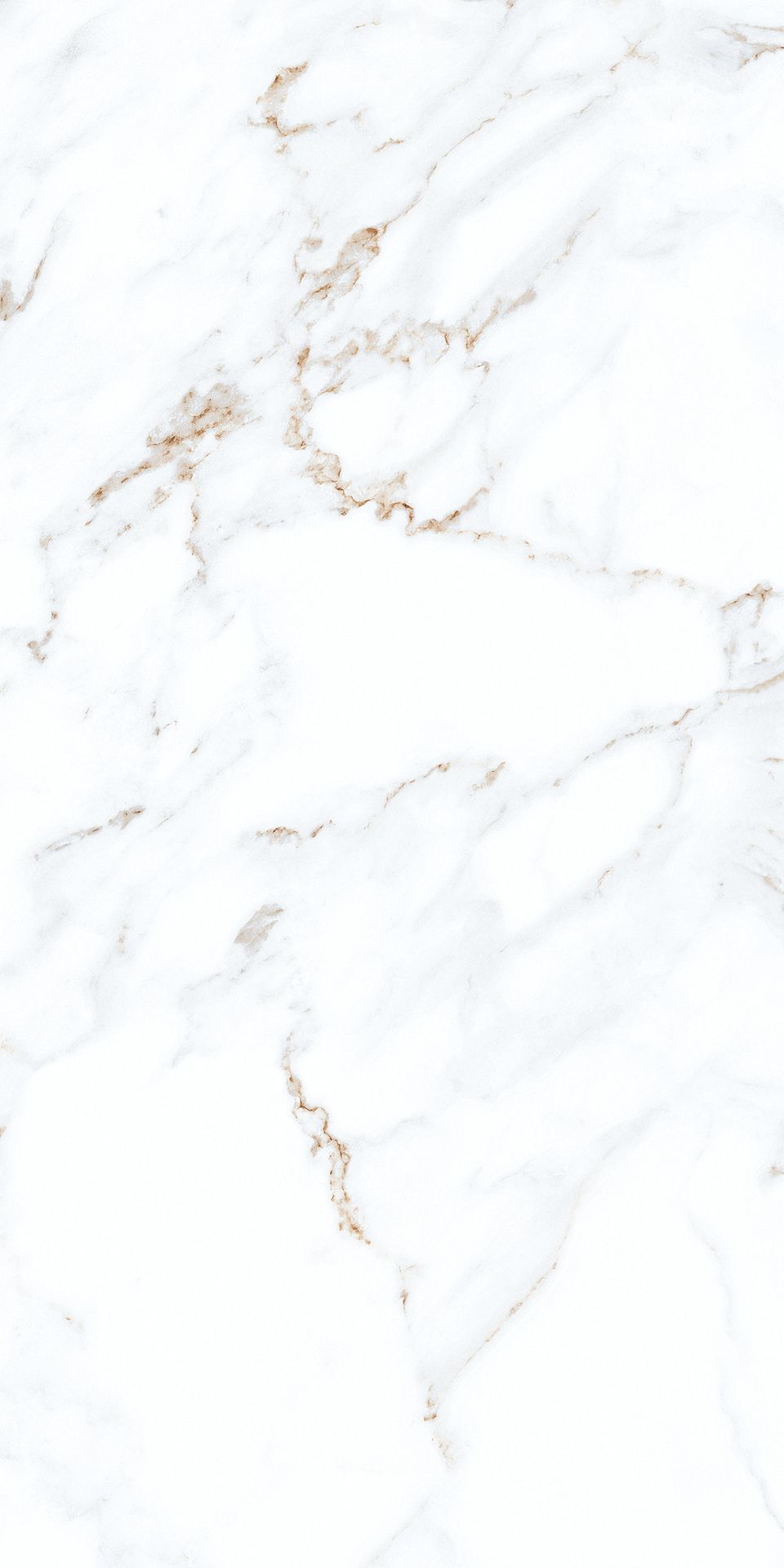 1200*600 - Pro Calcutta (Glossy)(2,1.44)