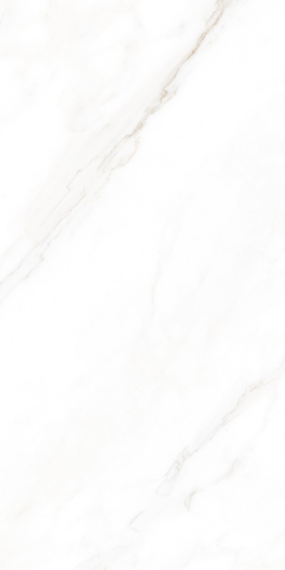 Tile-Calacatta Michael (Snow)