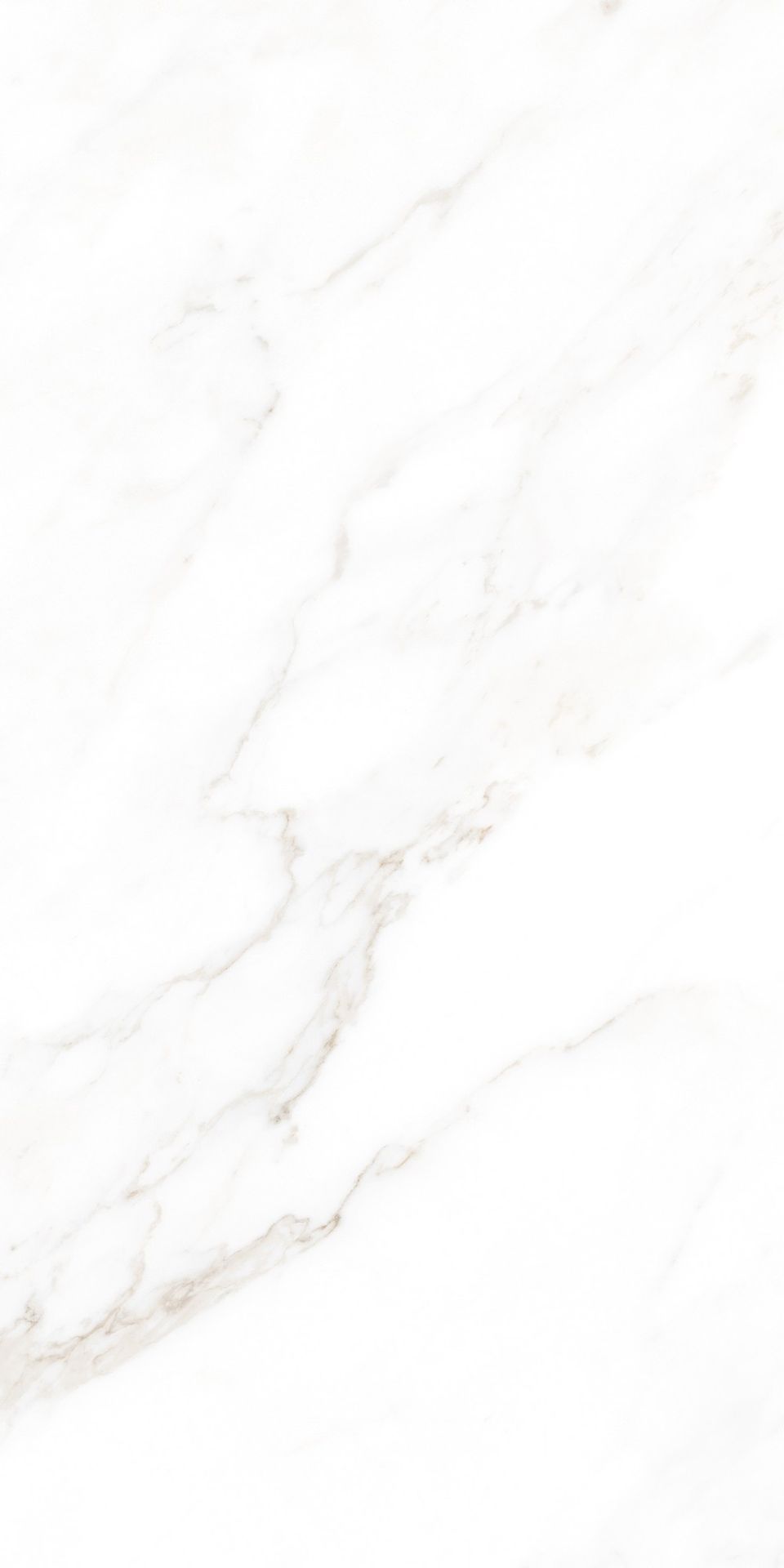 Tile-Calacatta Michael (Snow)