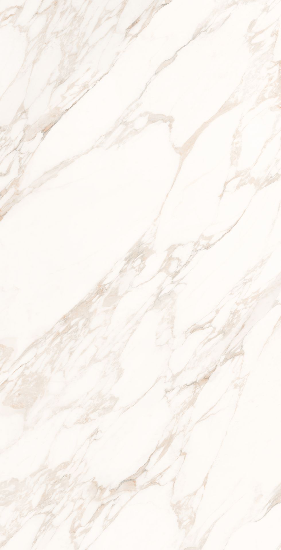 1200*2400 - Calacatta Labyrinth (Softtech) (1,2.88)