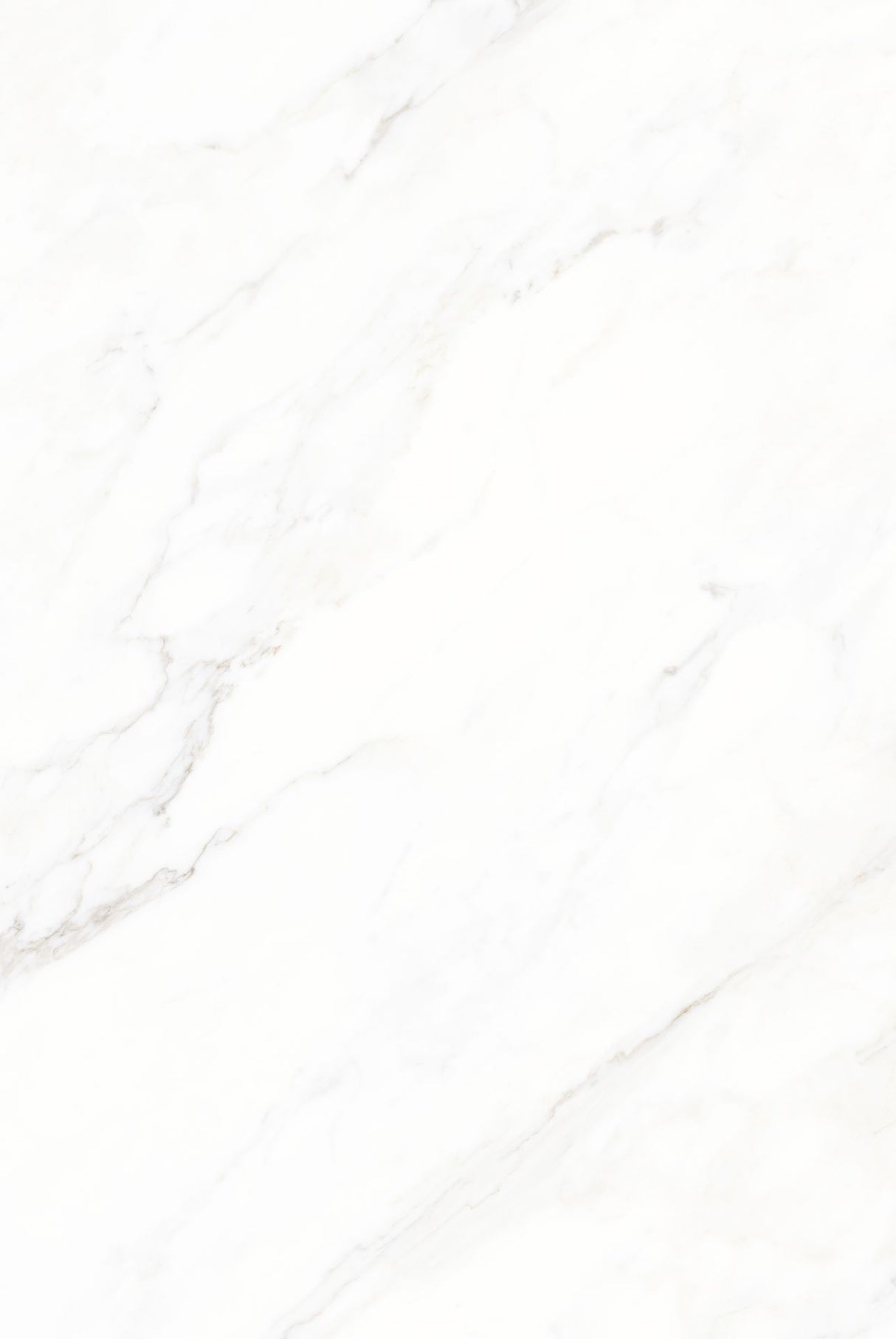 Tile-Calacatta Michael Snow Collection (Super White)