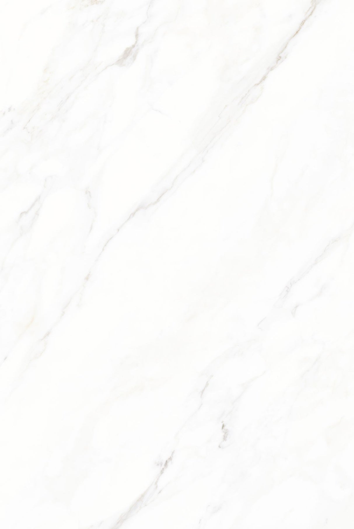 Tile-Calacatta Michael Snow Collection (Super White)