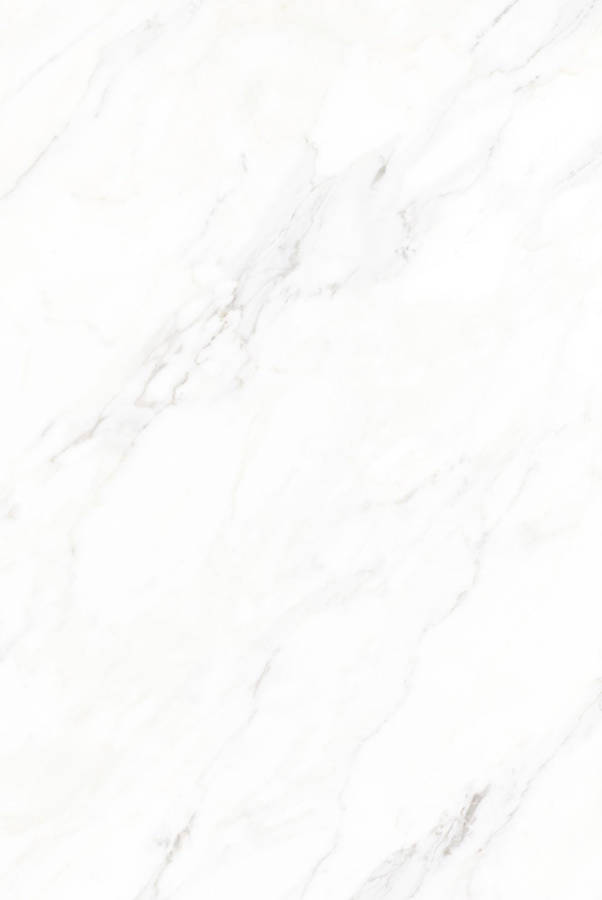 Tile-Calacatta Michael Snow Collection (Super White)
