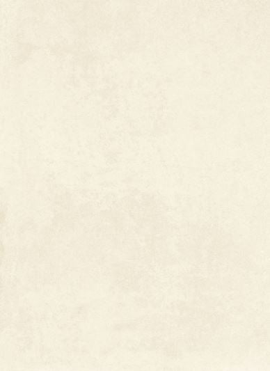 1200*600 Everest Crema R10 Matt (2,1.44)