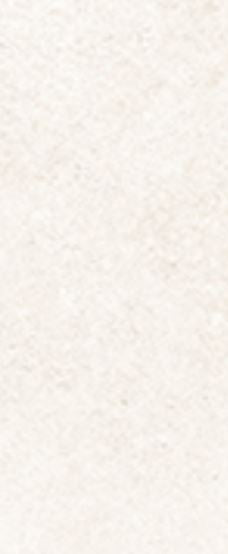 Tile Spectra Salt Glossy 58×250