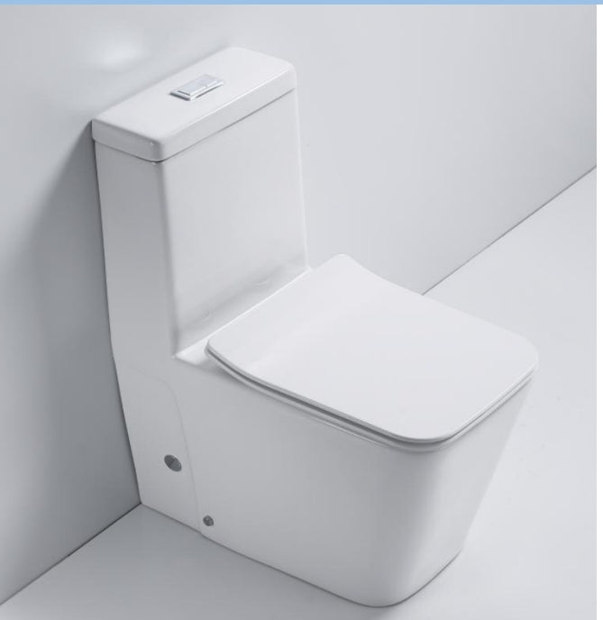 Single Piece S Trap Toilet White 650*345*800MM