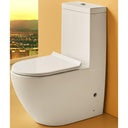 Bathx Single Piece S Trap White 715*375*860MM