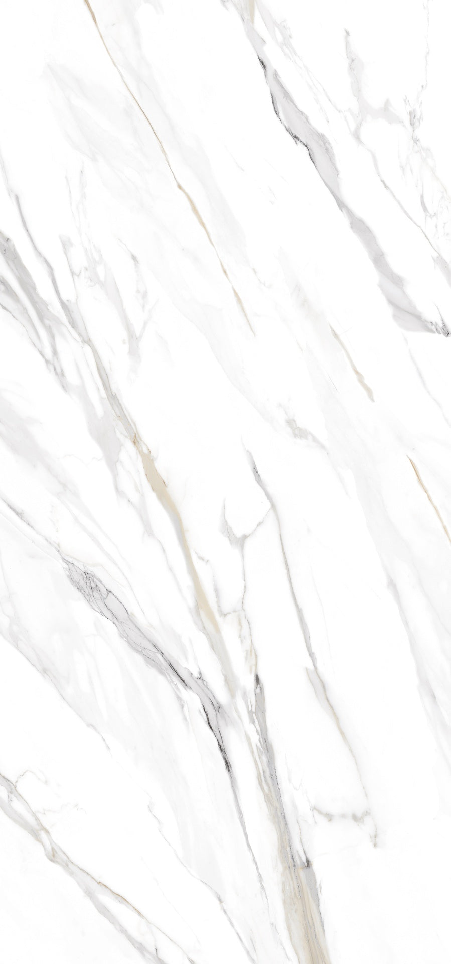 Tile TU Emporio Calacatta 60x120