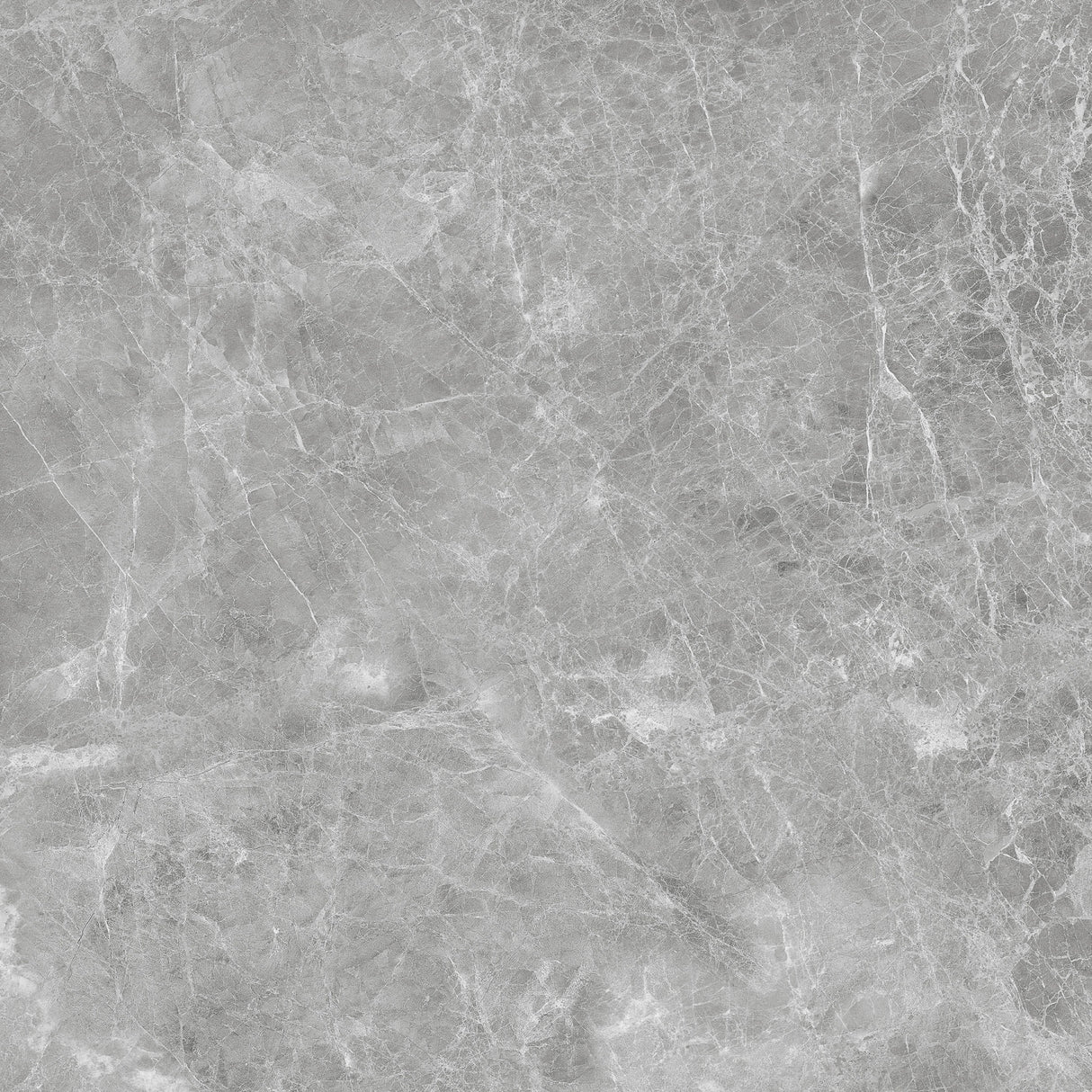 Tile Fantastic Grey 60x60