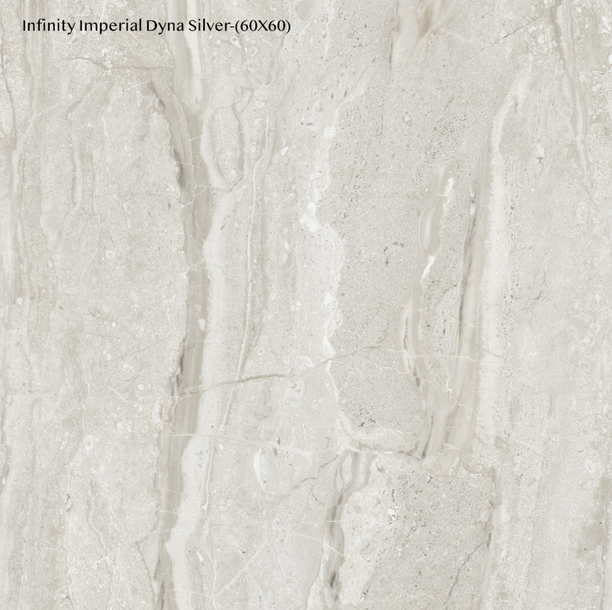 Tile Infinity Imperial Dyna Silver Matt 60x60