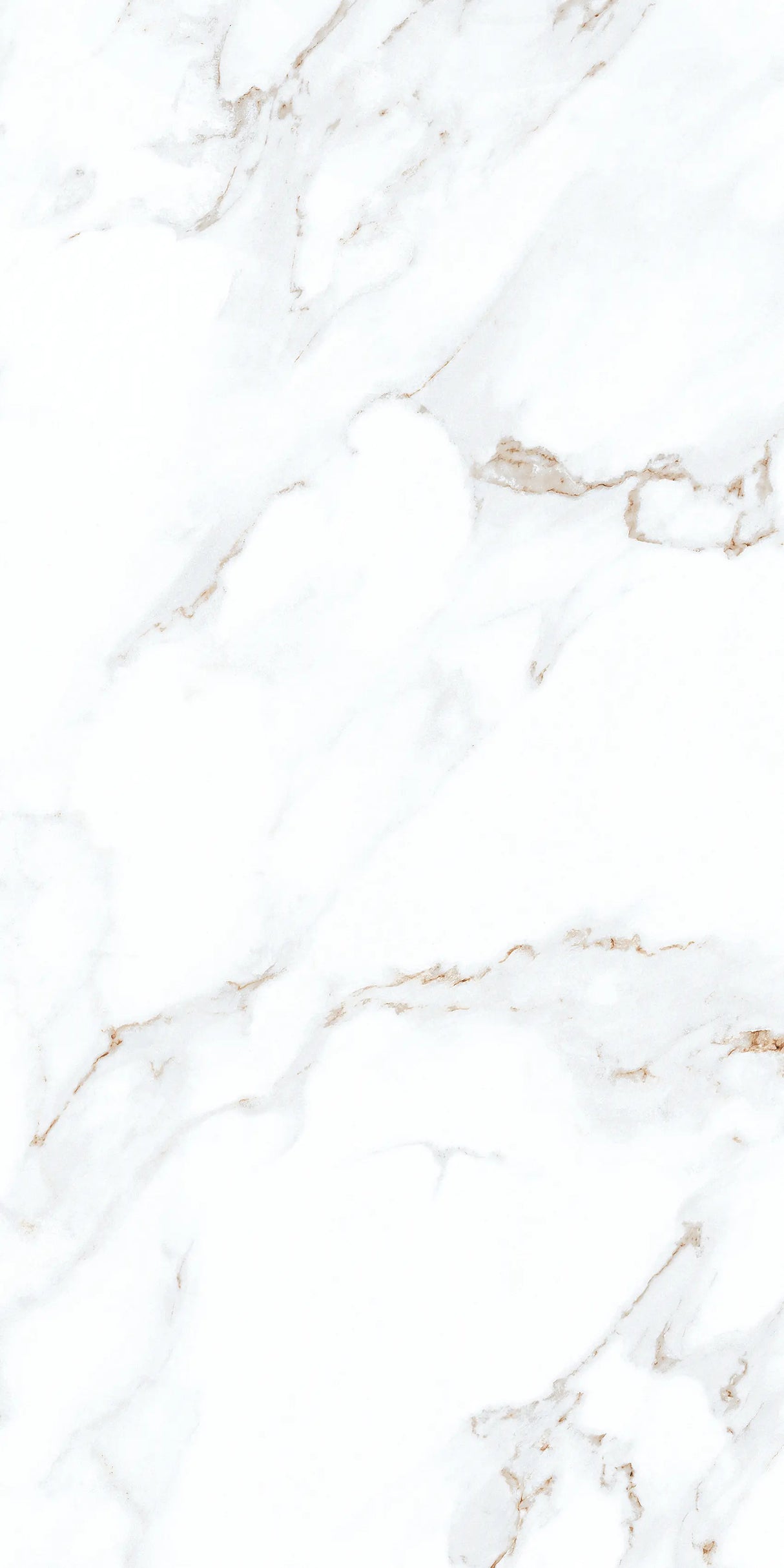 Tile Pro Calcutta Matt 60x60