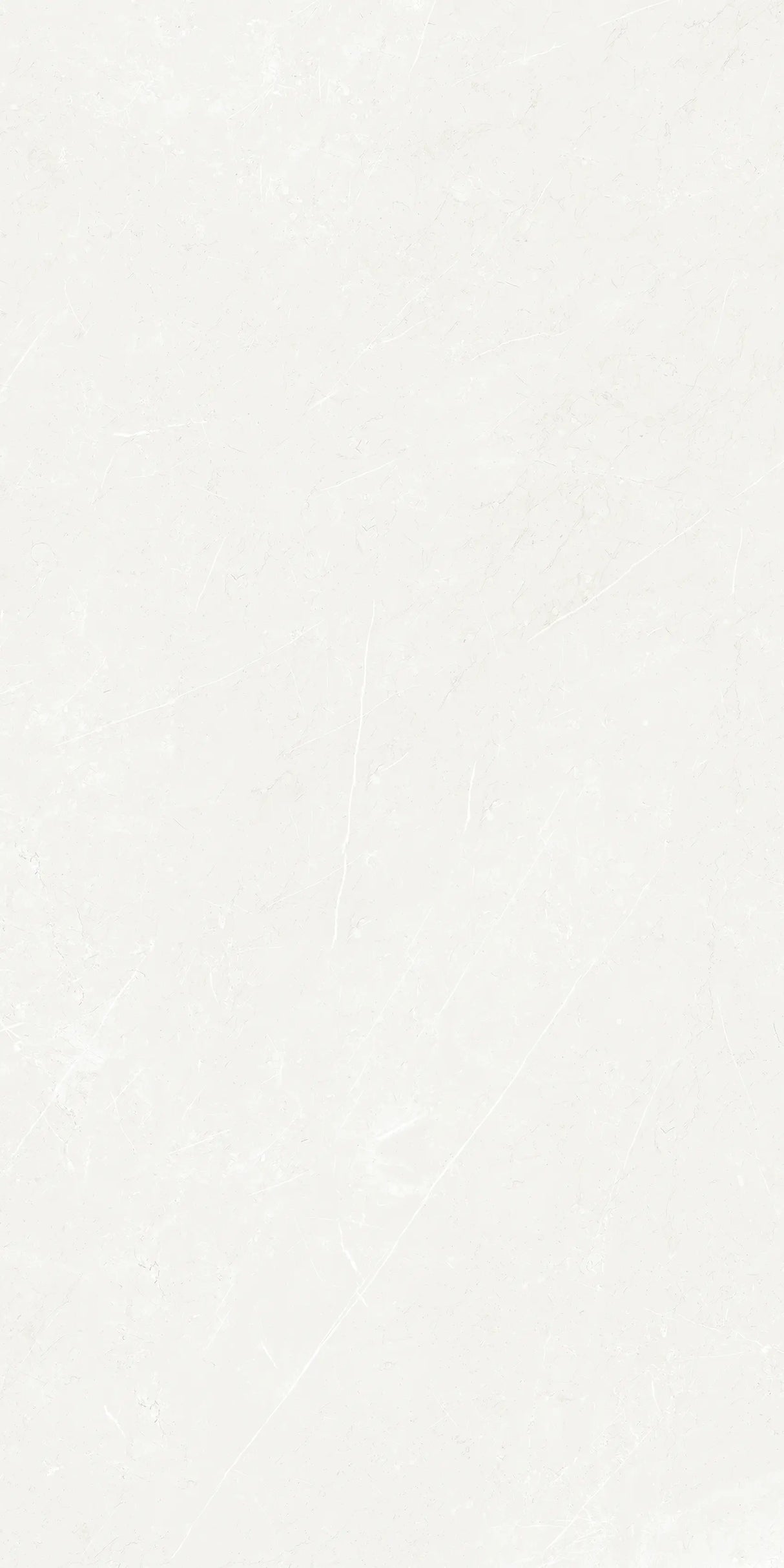 600*600 - PRO French Silver Matt (4,1.44)
