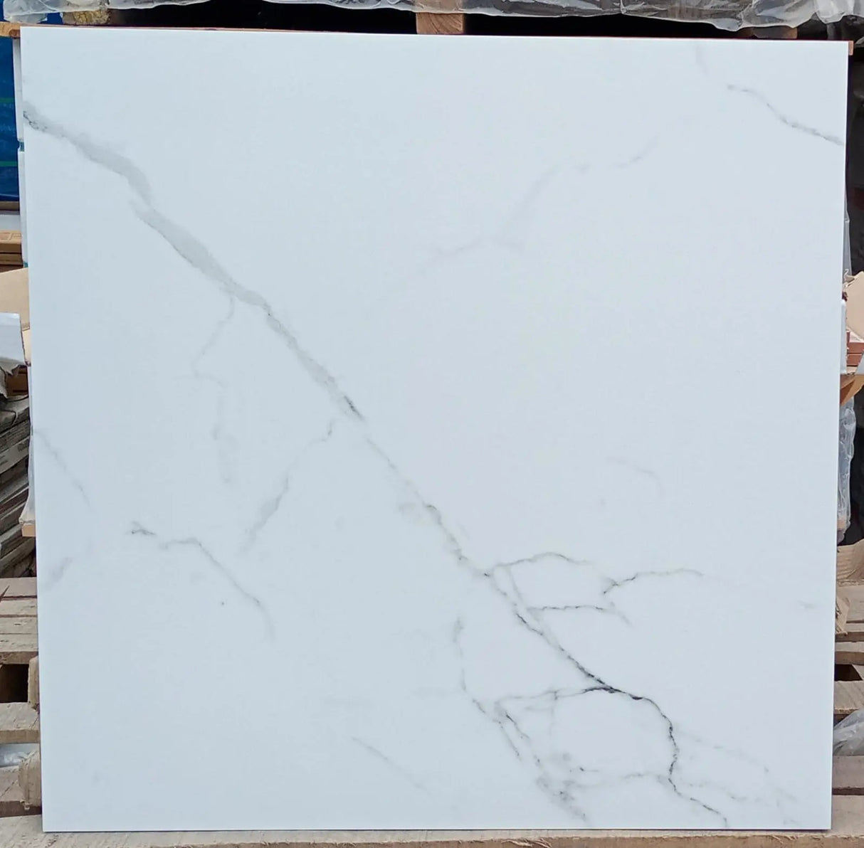 600x600mm 8SP Abc Satwario Matt Tile