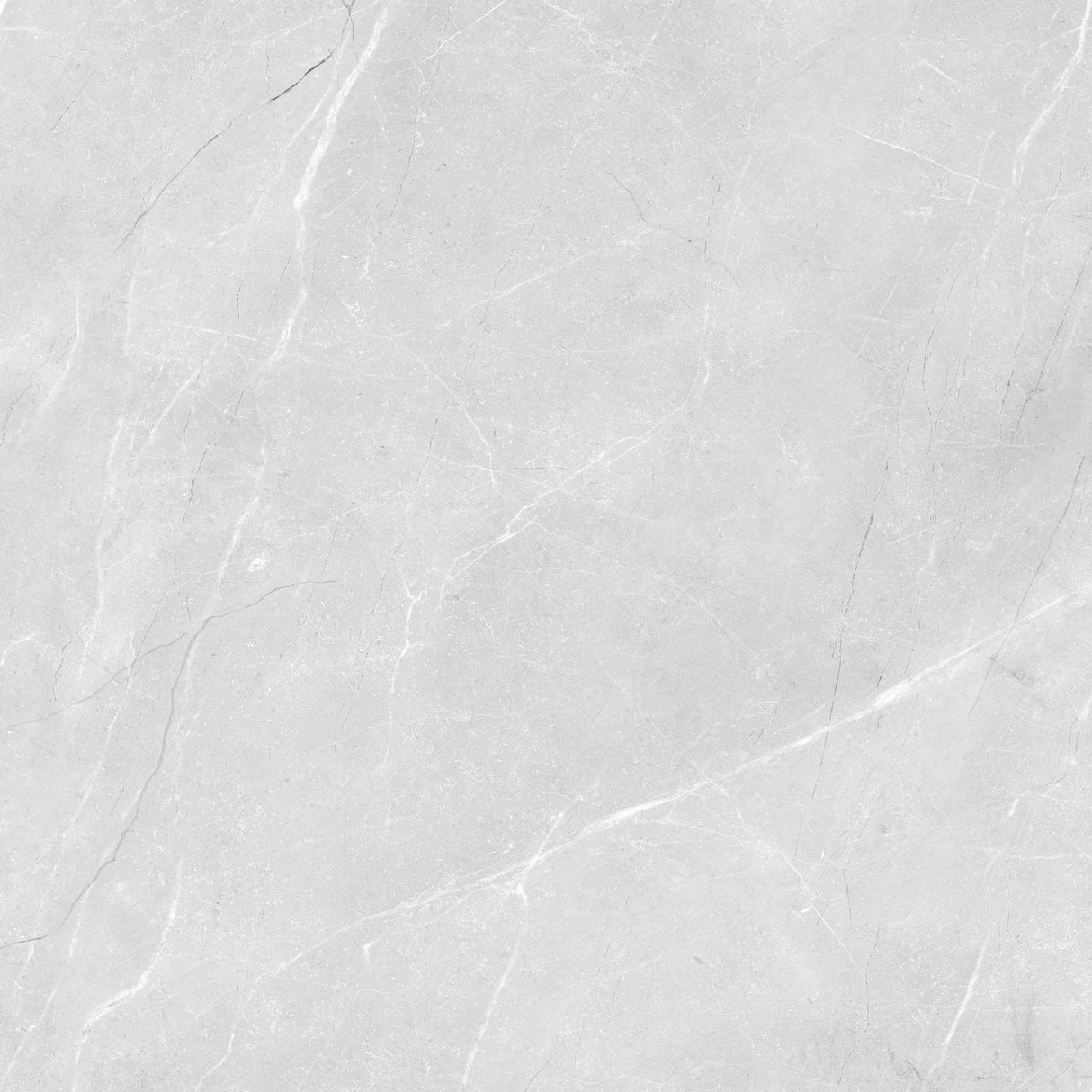 600x600mm Bosco Bianco Polished Tile
