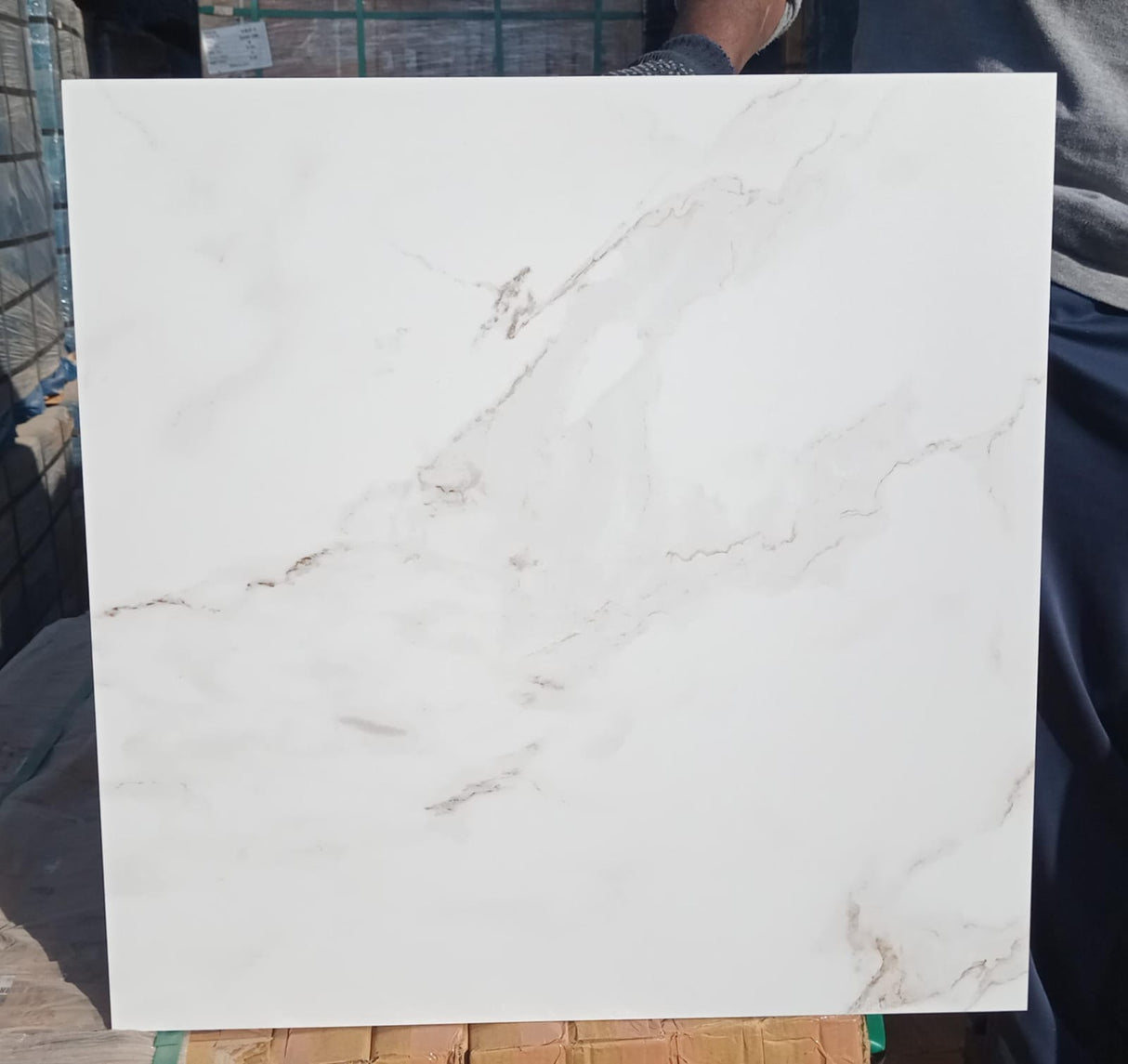 Calacutta Matt Tile600x600mm