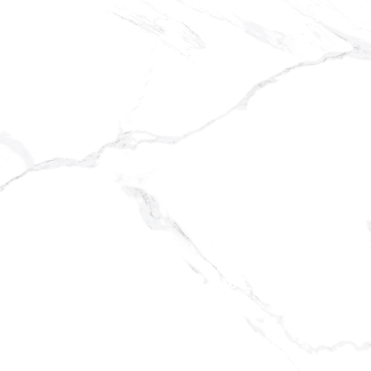 Circle Satuario Glossy Tile600x600mm