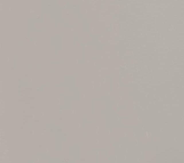 Tile Dolphin Polished 600×600