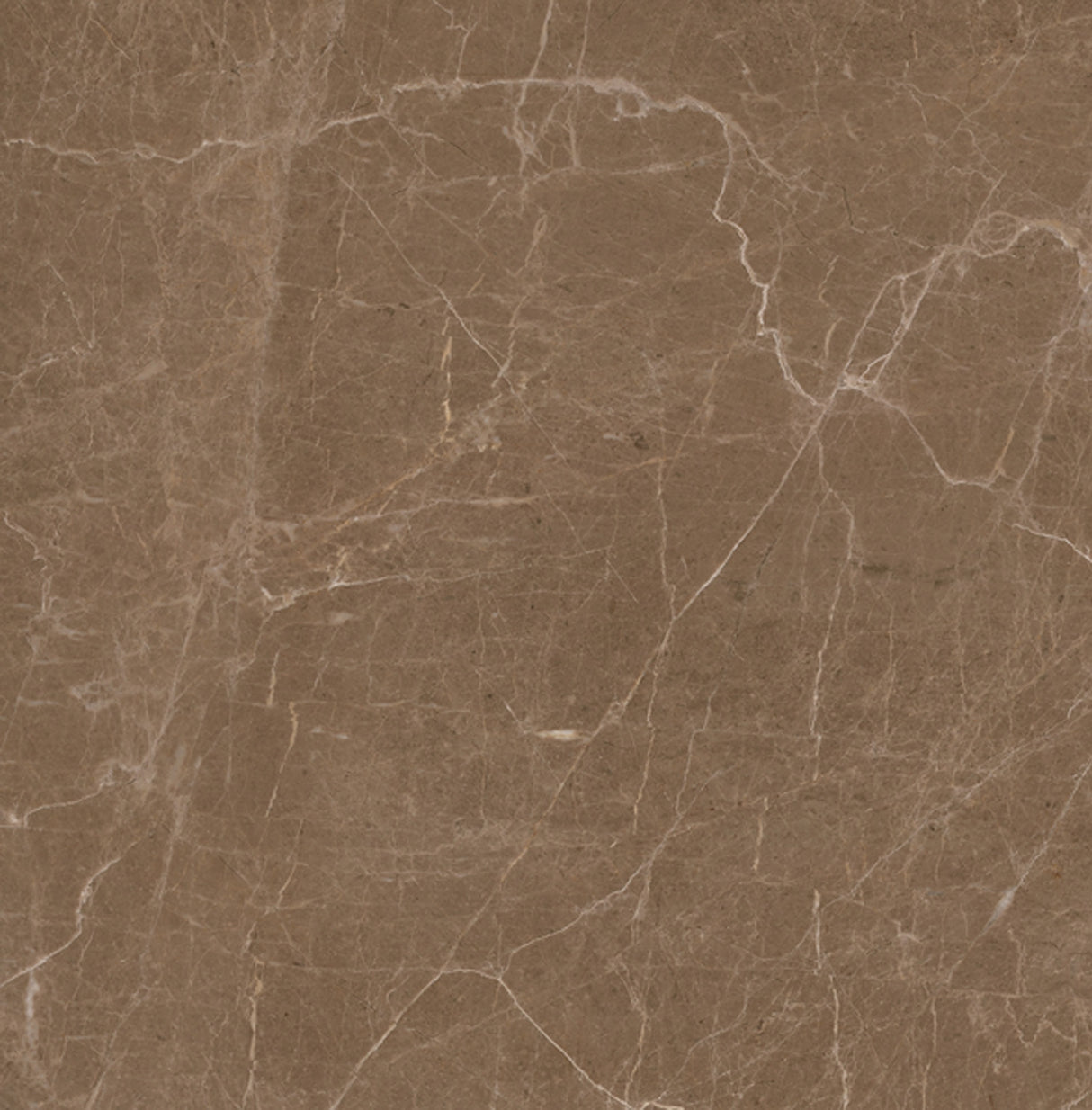 Tile Ebony Brown 600×600