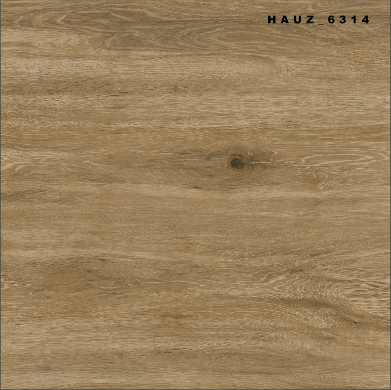 Tile Hauz-6314 60x60