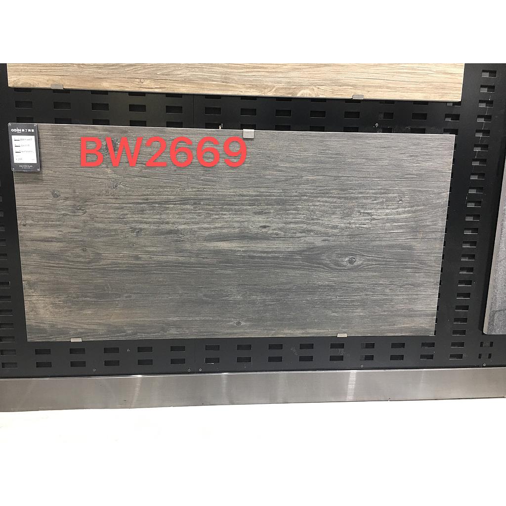 BW2669A SP Tile