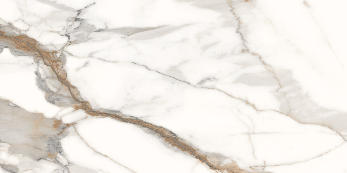 Tile Calacatta Gold Matt 60x60