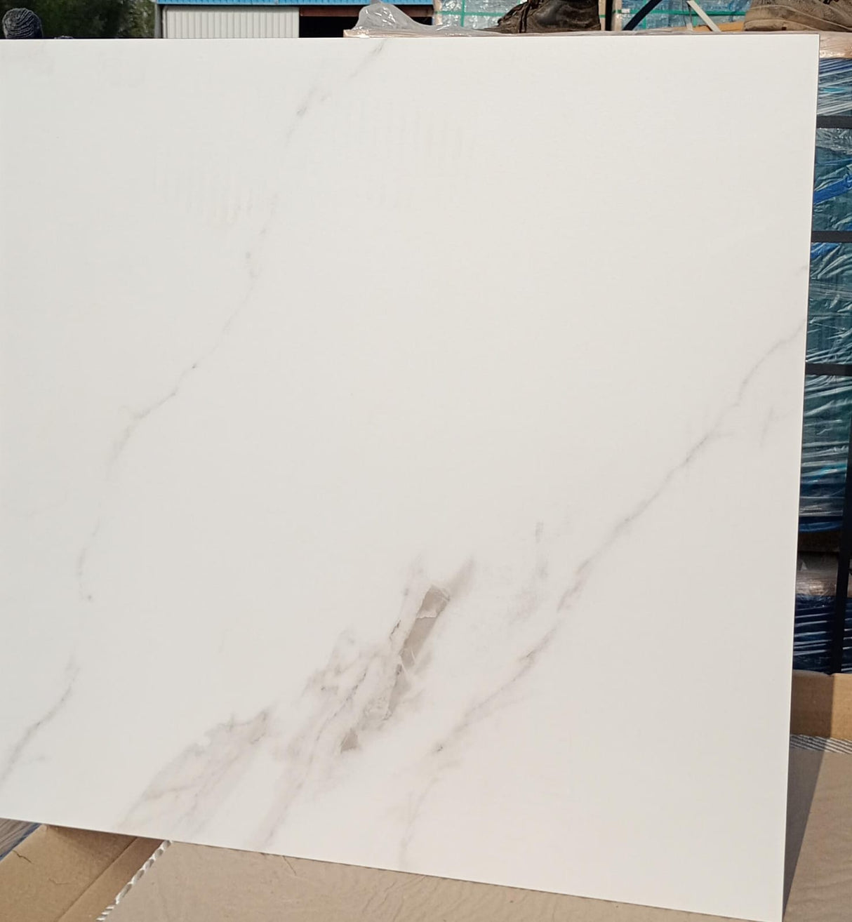 Tile Calacatta Michael Matt 60x60