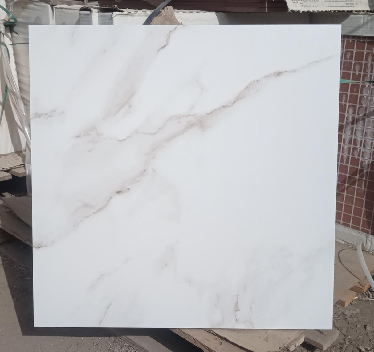 Tile Calacutta Matt 11 SP 60x60