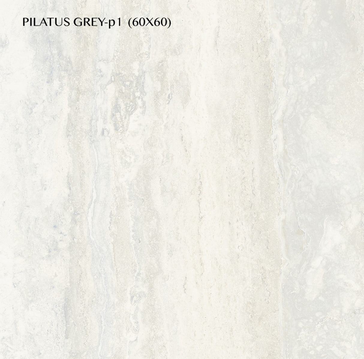 Tile Pilatus Grey Matt 60x60