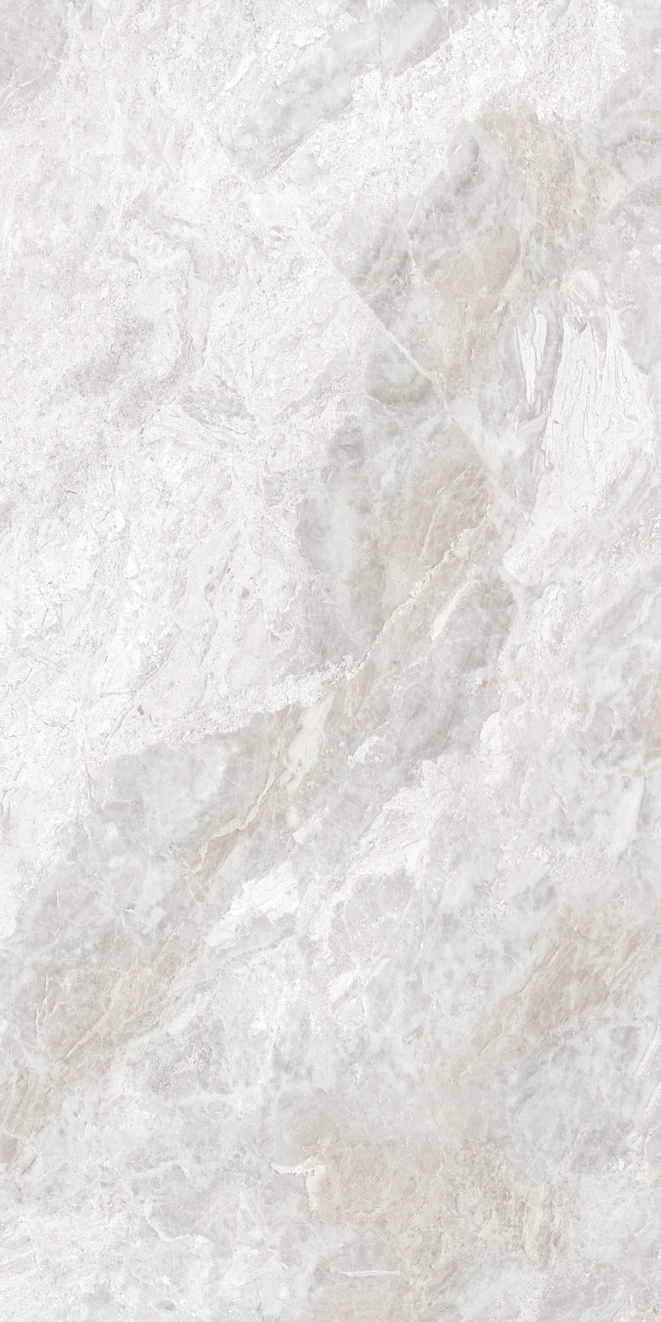 Marmo Dove 798×1598 Polished Tile