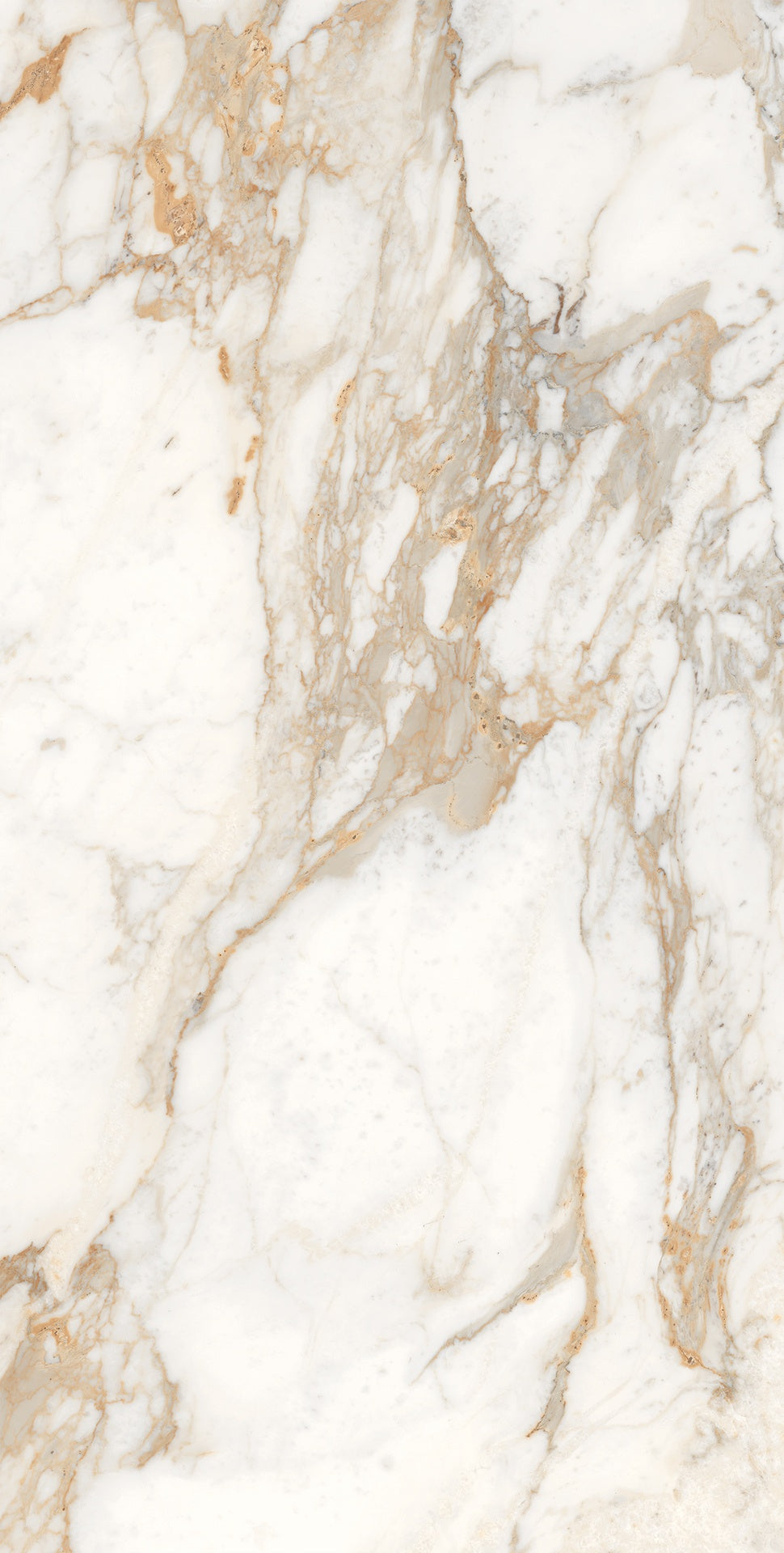 Golden Calacatta Grand Glossy Tile – 160×80 cm