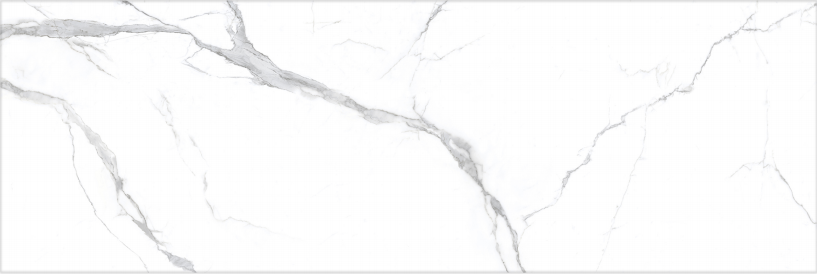 Apuane Statuario 800×2400 Polished Slab
