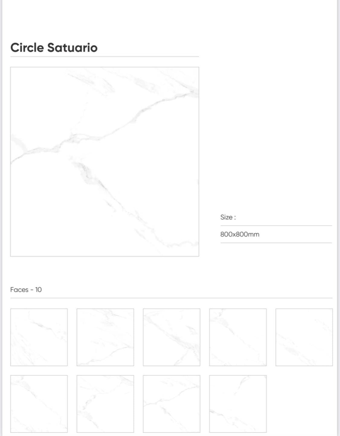 Circle Satvario 800×800 Polished Tile (1.28 m²)