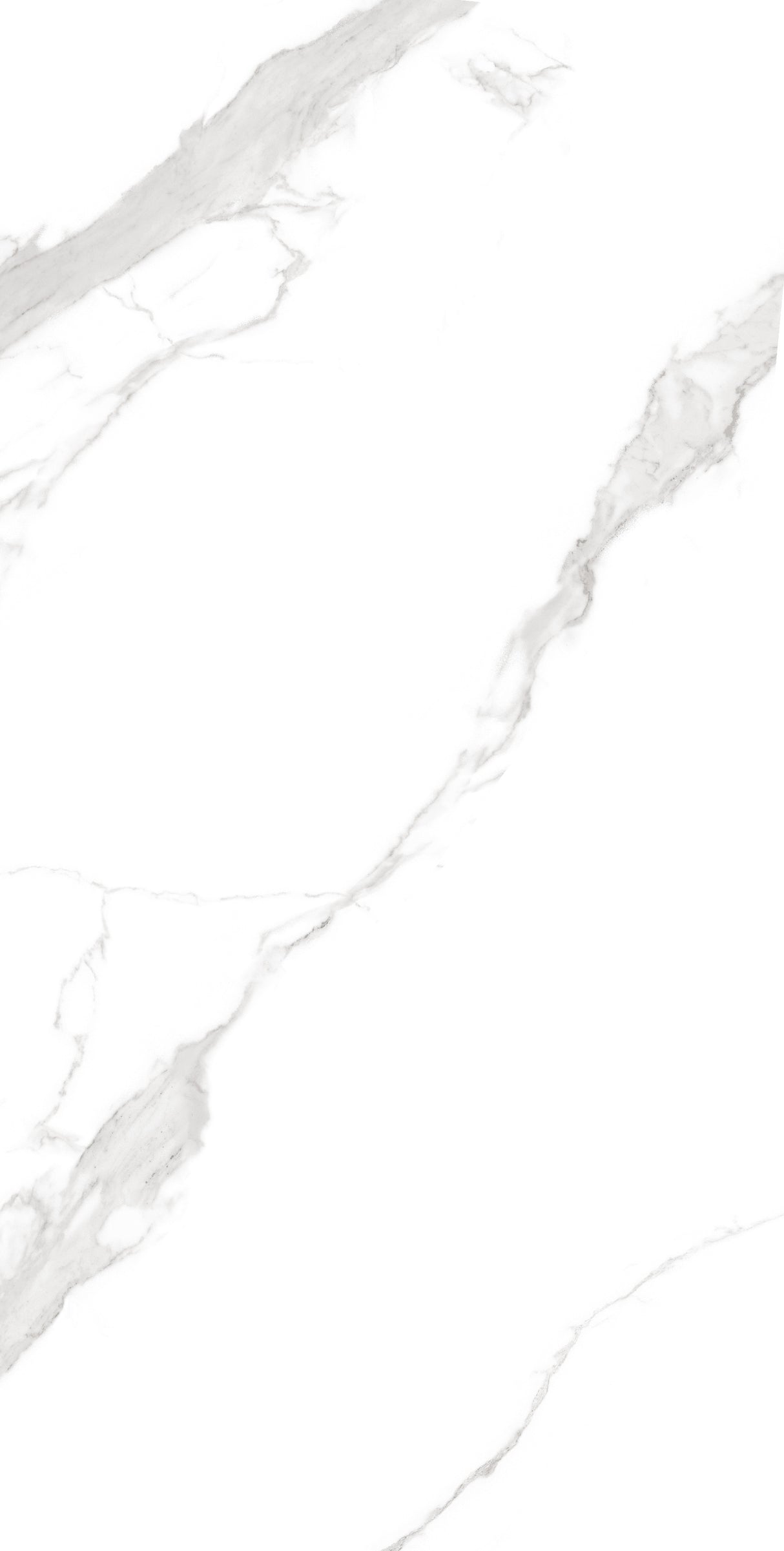 Tile-Calacatta Noir-P