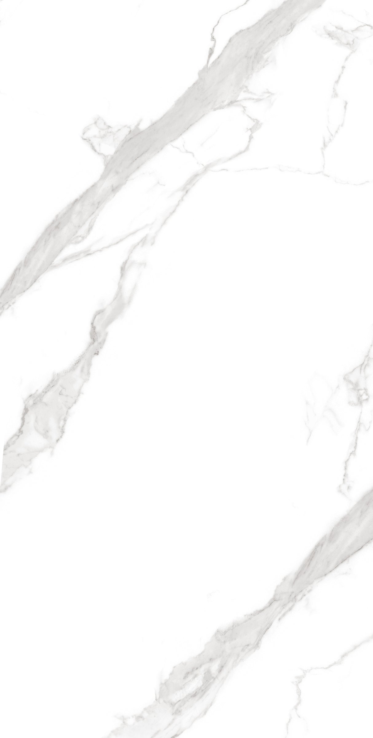 Tile-Calacatta Noir-P