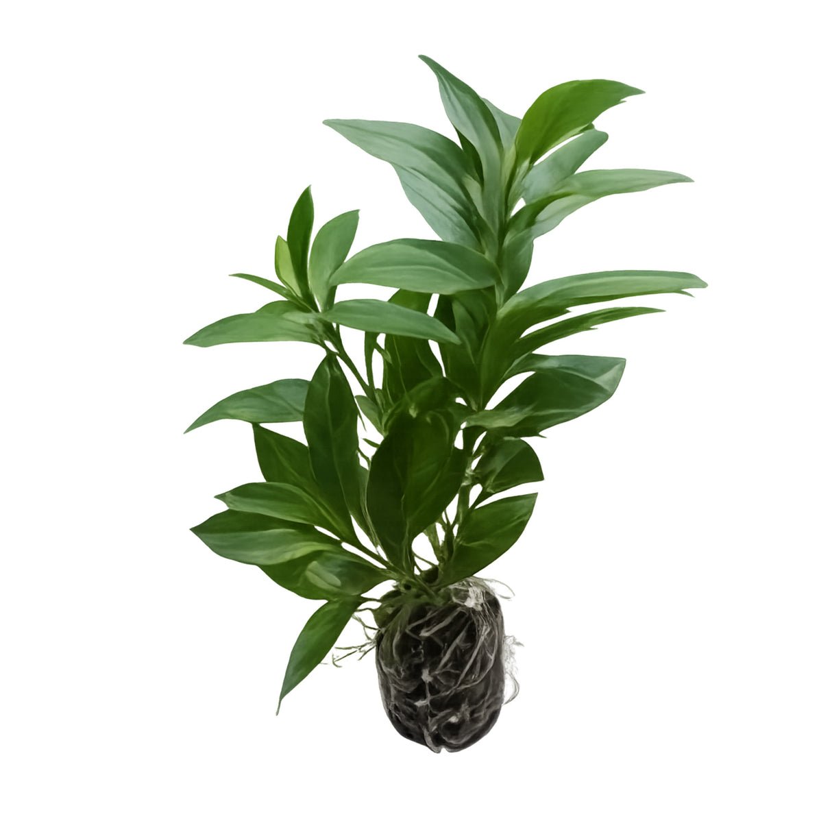 ID-AP46 Artificial Plant