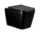 Wall Hung Toilet Black Matt