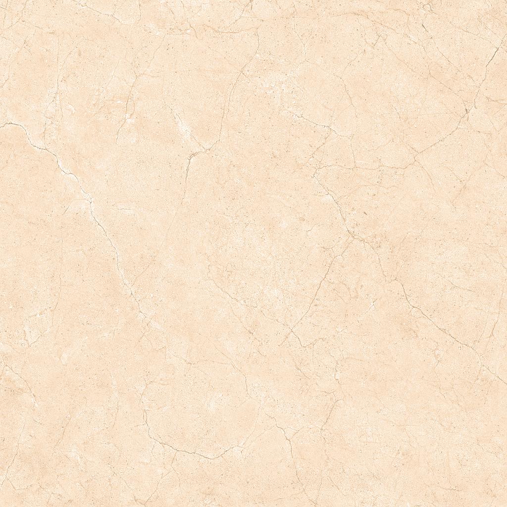 Tile New Light 1064 Glossy 60x60