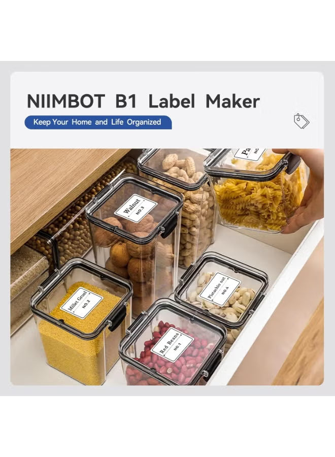 NIIMBOT B1 Inkless Thermal Label Printer