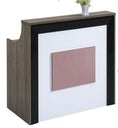 915 Reception Table 1200*600*1050
