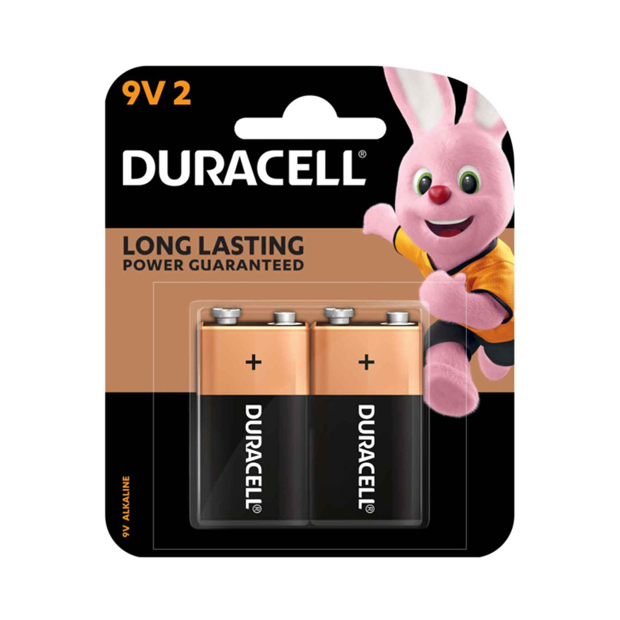 Duracell Type 9V Alkaline Batteries, pack of 2 Qatar