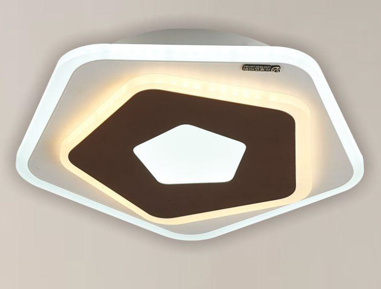 Ceiling Light